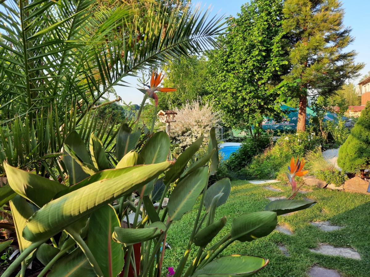 Penzion Zahrada Nad Rekou, Restaurace A Kavarna - Parkovani Gratis Zlatá Koruna المظهر الخارجي الصورة