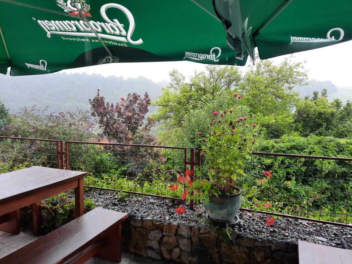 Penzion Zahrada Nad Rekou, Restaurace A Kavarna - Parkovani Gratis Zlatá Koruna المظهر الخارجي الصورة