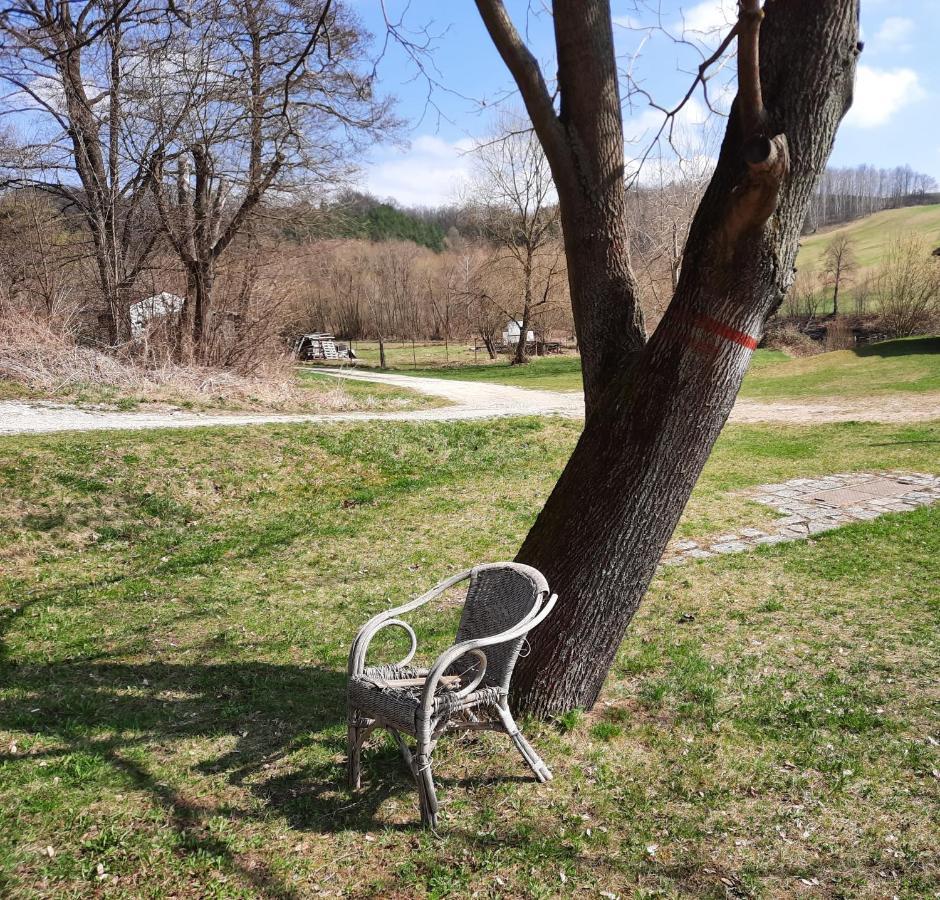 Penzion Zahrada Nad Rekou, Restaurace A Kavarna - Parkovani Gratis Zlatá Koruna المظهر الخارجي الصورة
